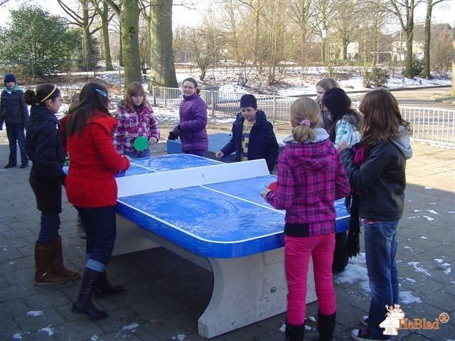 Obs de Weert uit Haaksbergen