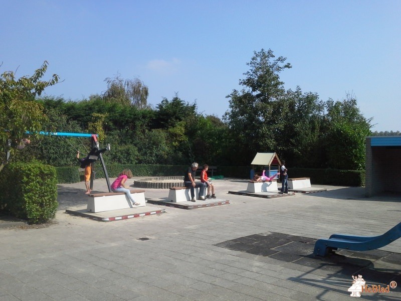 SBO het Springtij uit Vlissingen