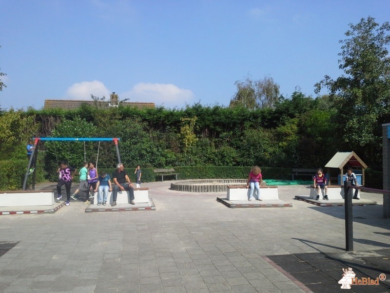 SBO het Springtij uit Vlissingen