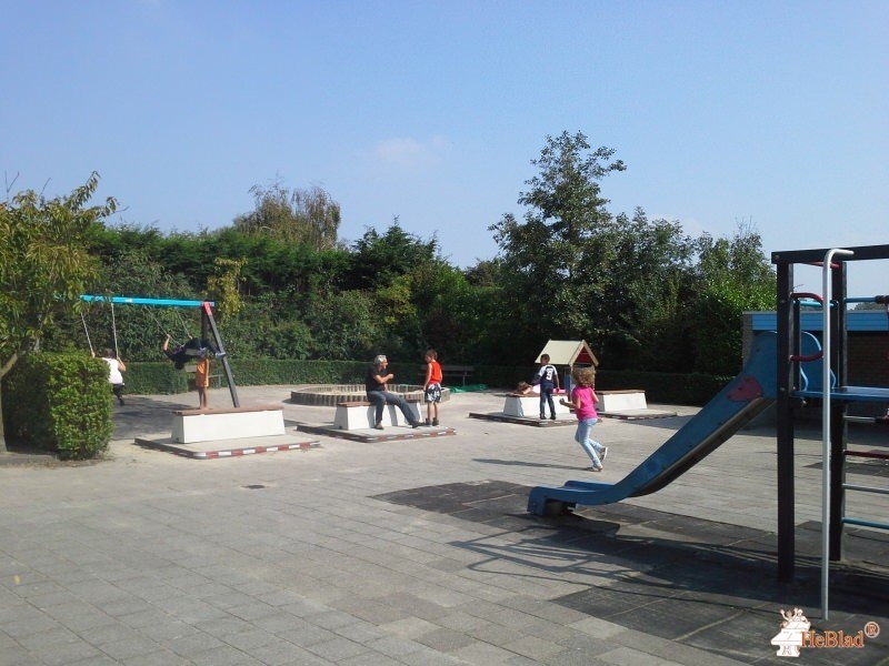 SBO het Springtij uit Vlissingen