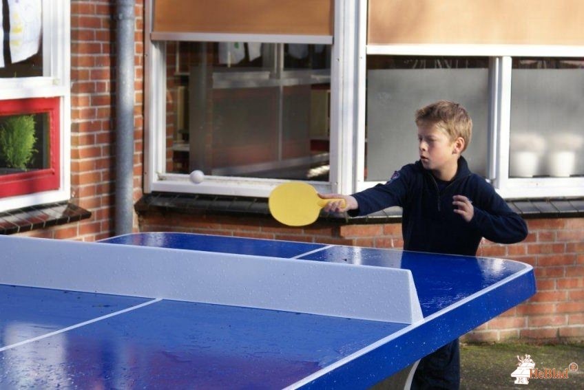 BS de negen Wieken uit Winsum (gr)