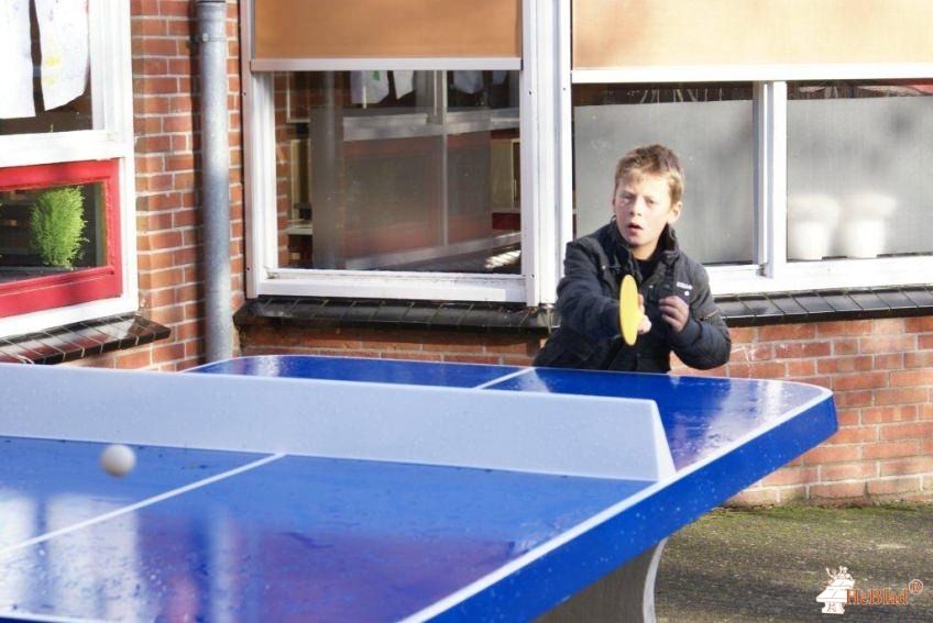 BS de negen Wieken uit Winsum (gr)