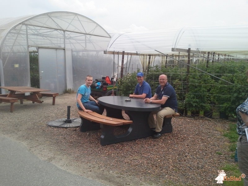 Zachtfruit Schalkwijk BV uit Schalkwijk
