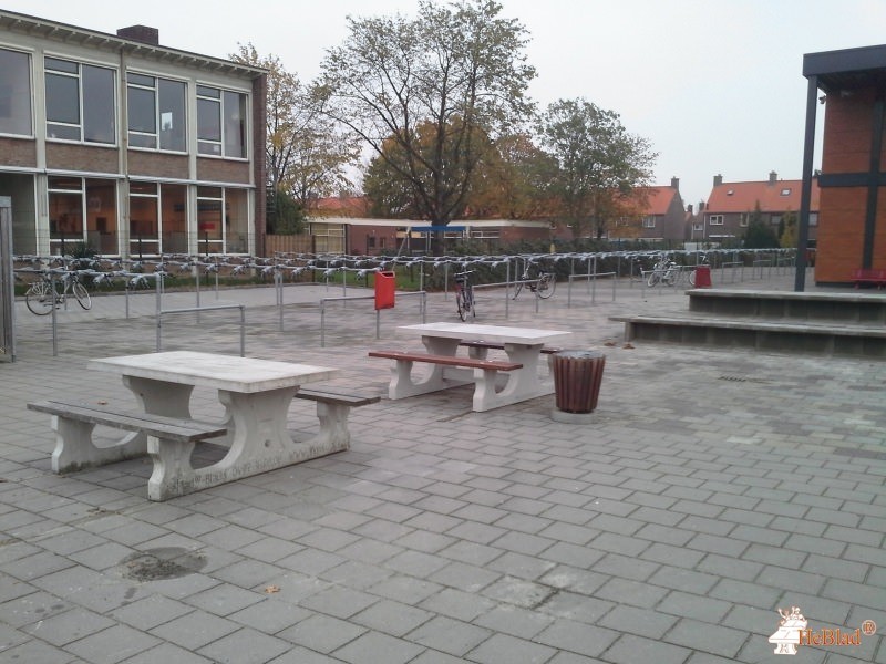 Bonifatius Mavo uit Emmeloord