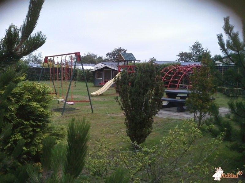 Camping Haayse Bos uit Ouddorp