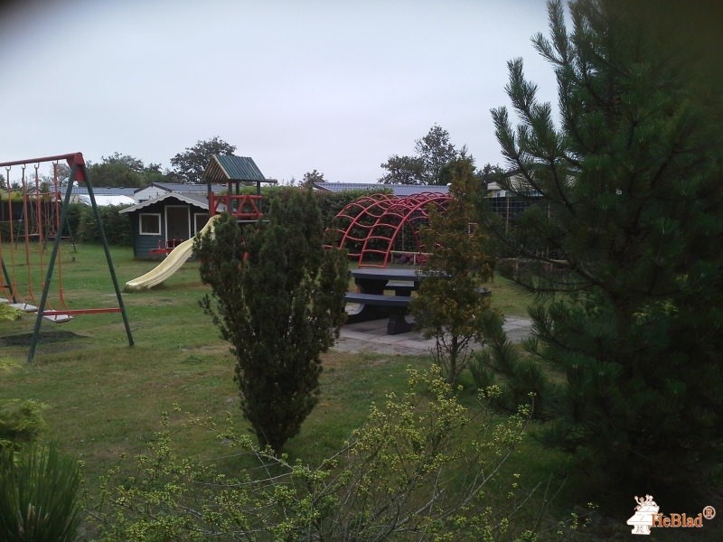 Camping Haayse Bos uit Ouddorp