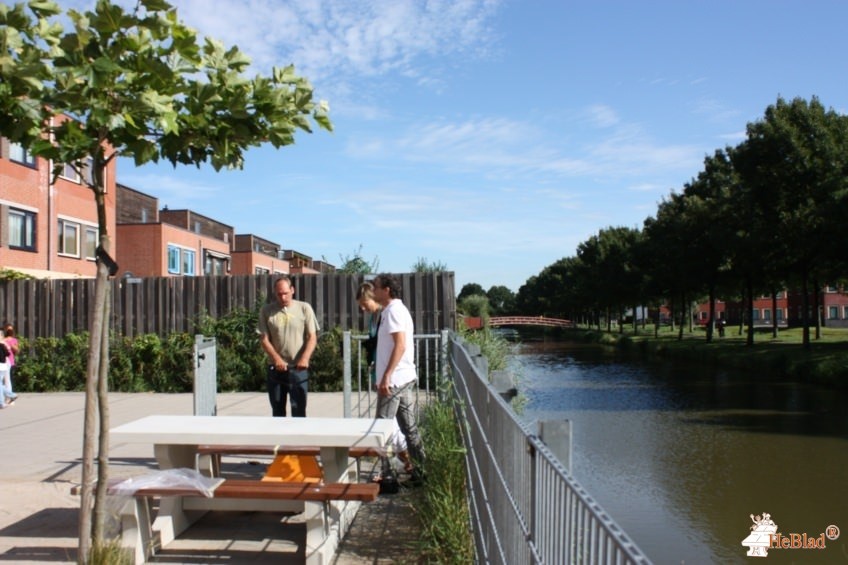 Obs 't Prisma uit Hoogvliet