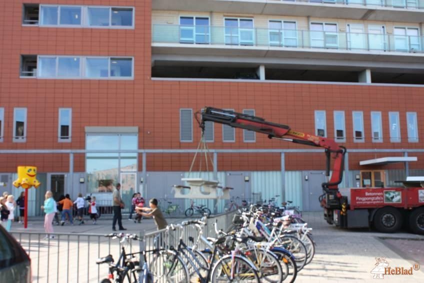Obs 't Prisma uit Hoogvliet