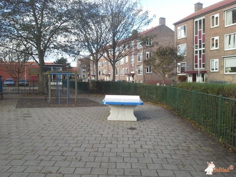 Groen van Prinsterenschool uit Katwijk aan Zee
