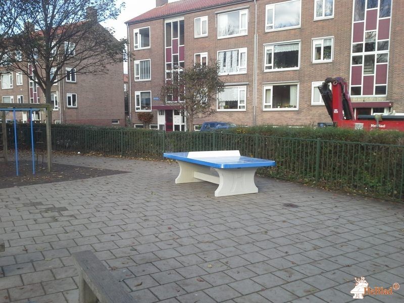 Groen van Prinsterenschool uit Katwijk aan Zee