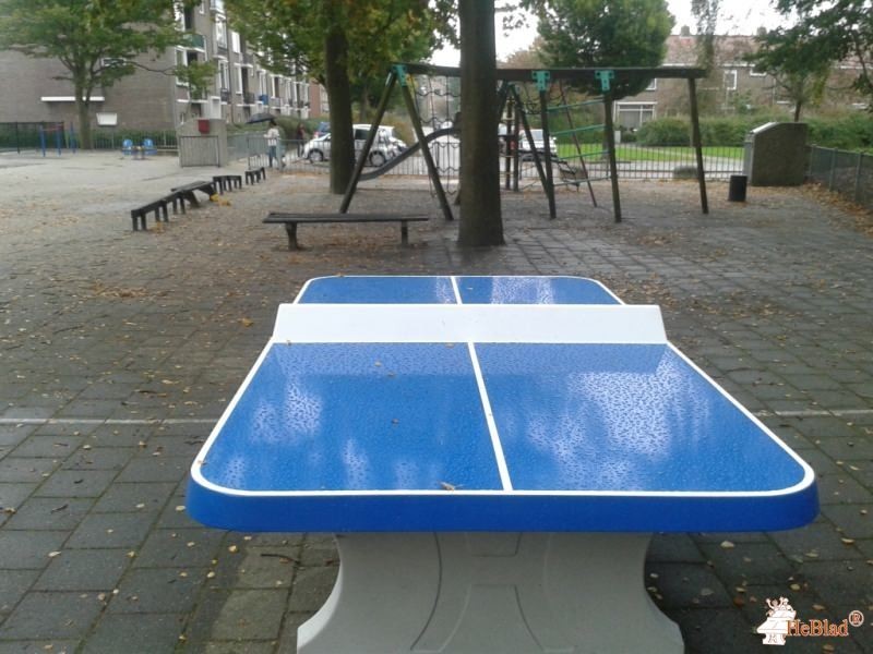 OBS 't Carrousel uit Purmerend