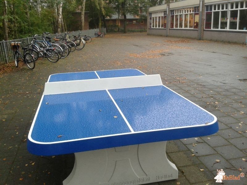 OBS 't Carrousel uit Purmerend