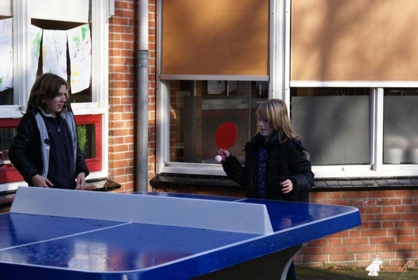 BS de negen Wieken uit Winsum (gr)