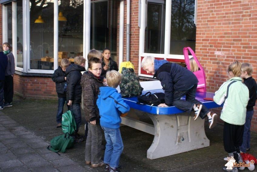 BS de negen Wieken uit Winsum (gr)