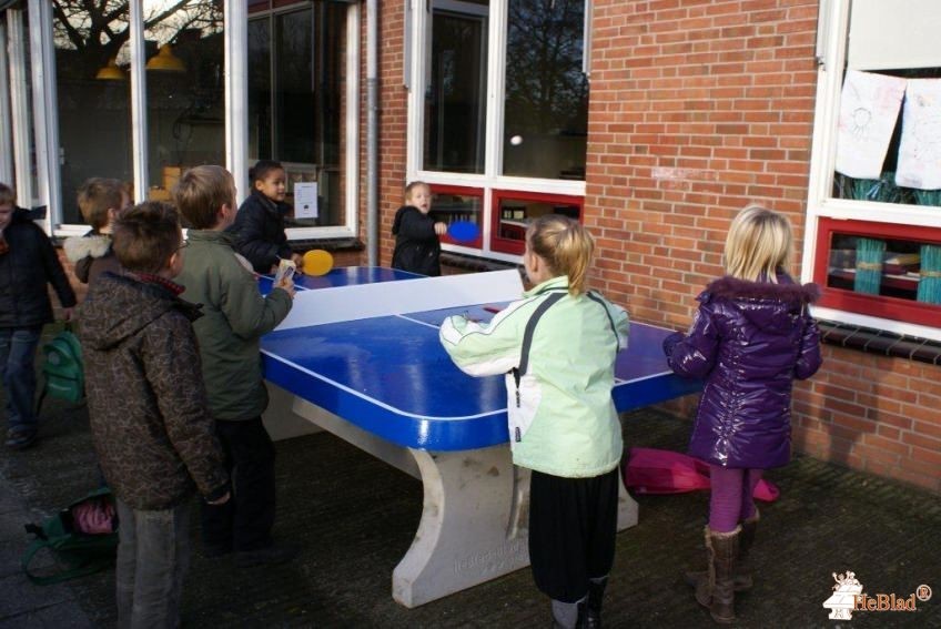 BS de negen Wieken uit Winsum (gr)