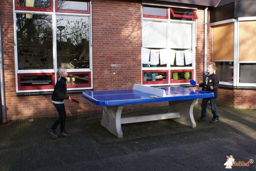 BS de negen Wieken uit Winsum (gr)