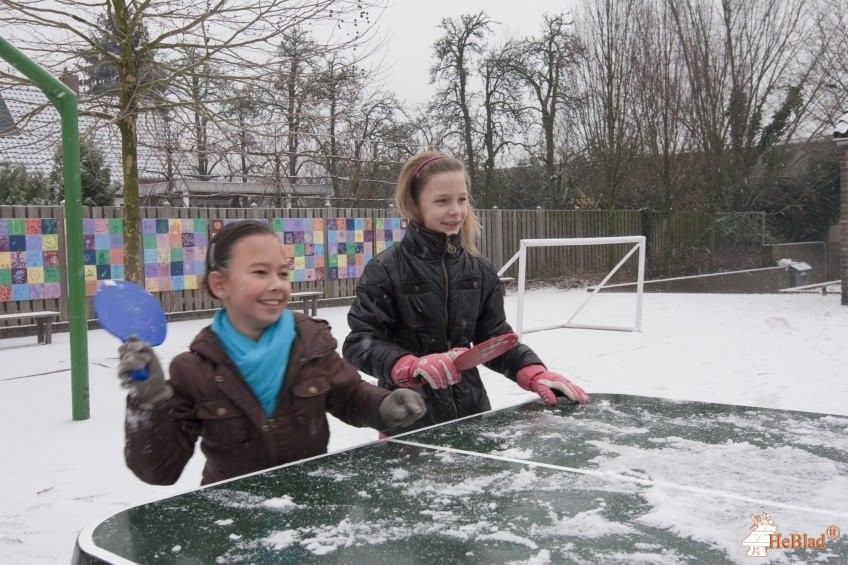 Adalbert Basisschool uit Mook