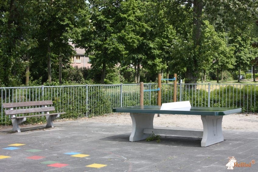 Obs Sterrendonk uit Oosterhout