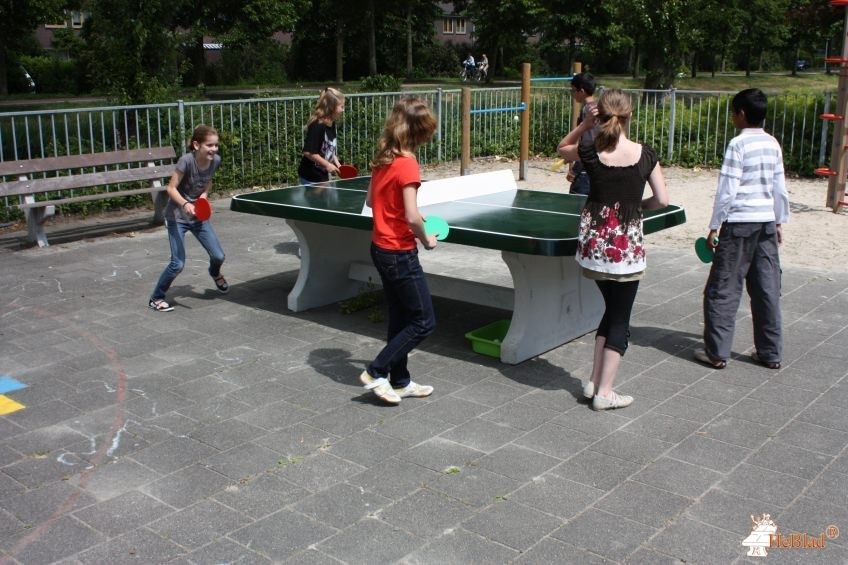 Obs Sterrendonk uit Oosterhout