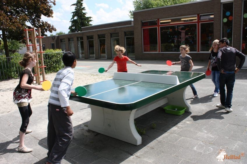 Obs Sterrendonk uit Oosterhout