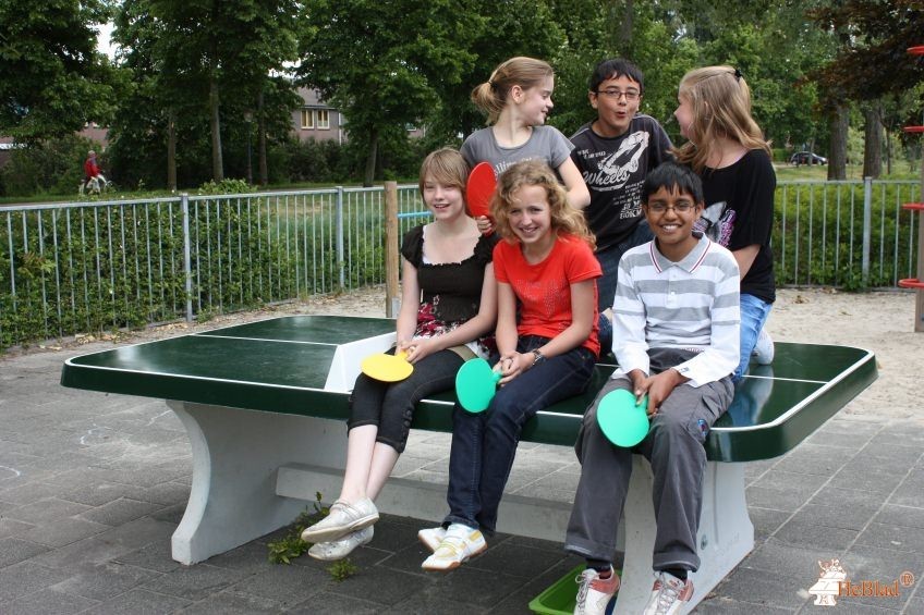 Obs Sterrendonk uit Oosterhout