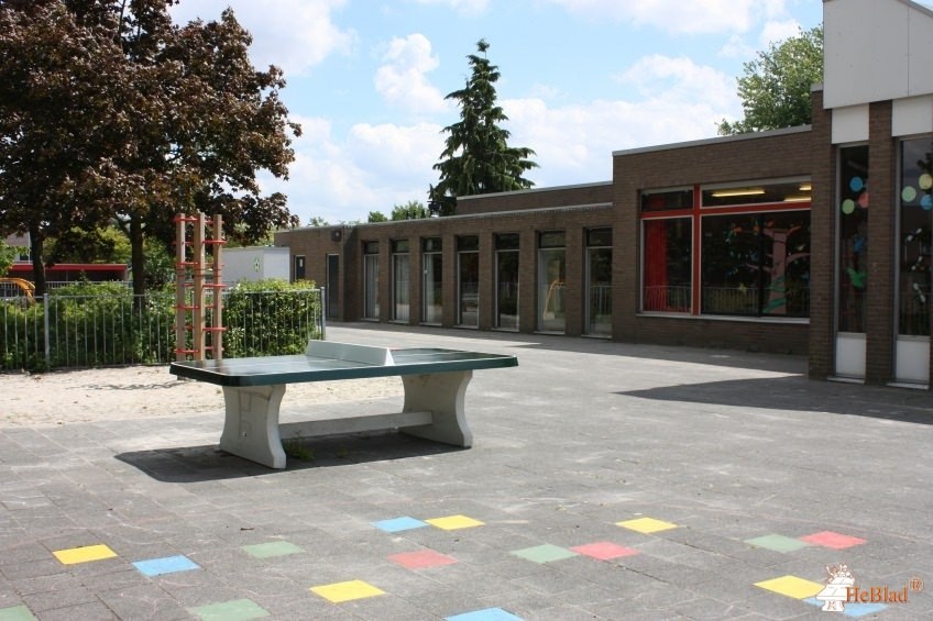 Obs Sterrendonk uit Oosterhout