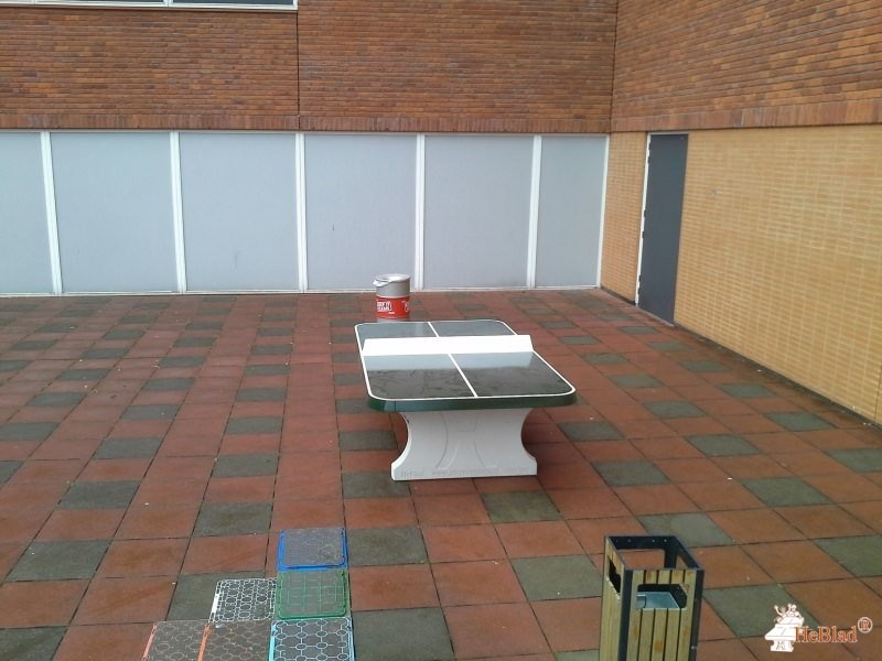 's Gravendreef College uit 's Gravenhage