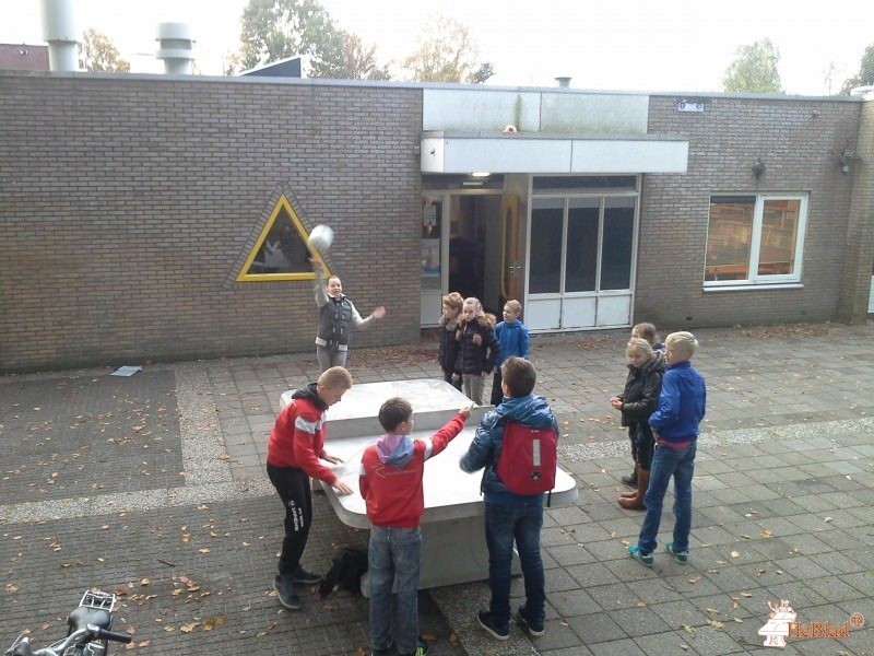 CBS De Arke uit Burgum