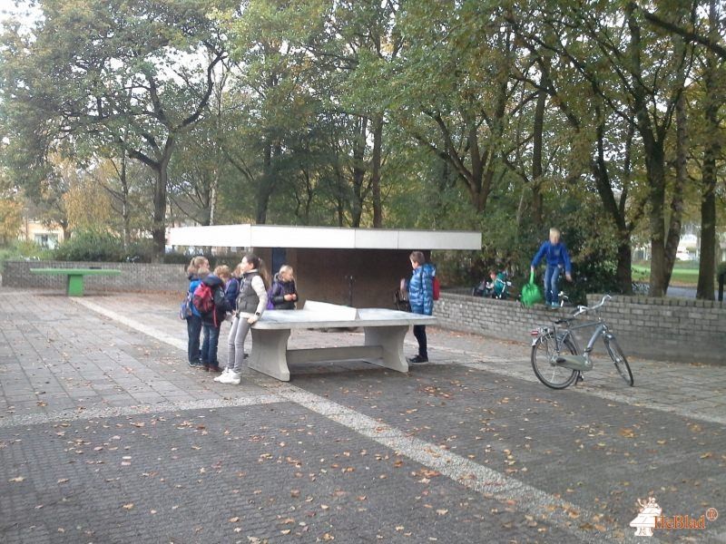CBS De Arke uit Burgum