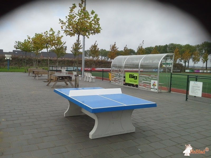 Korfbalvereniging ACKC uit Almkerk