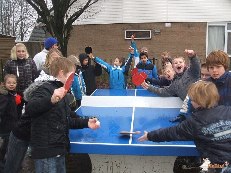 Obs de Carrousel uit Dalfsen