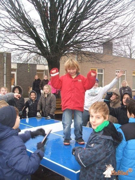 Obs de Carrousel uit Dalfsen