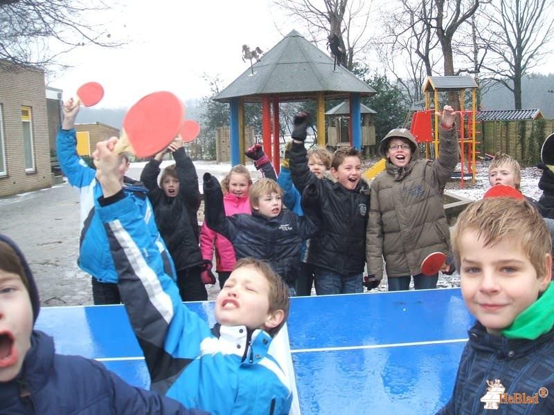 Obs de Carrousel uit Dalfsen