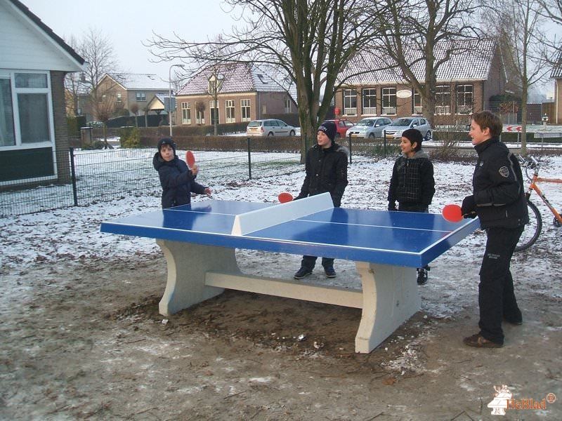 Obs de Carrousel uit Dalfsen