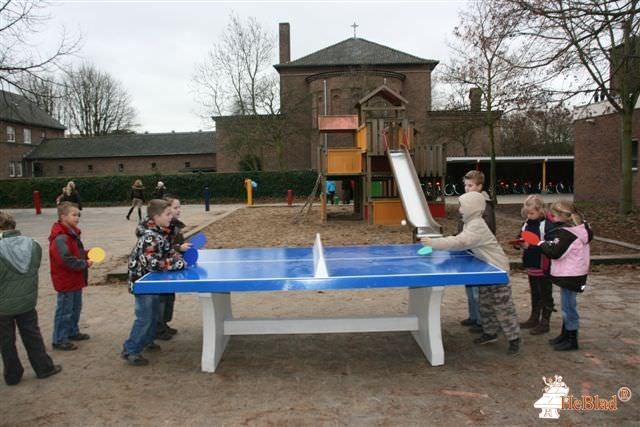 Basissch St Willibrordus uit Lisse