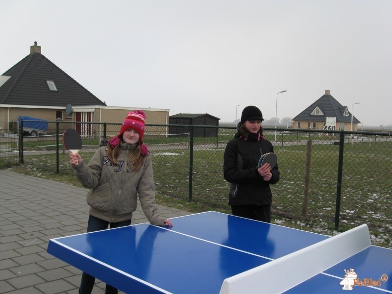 C.b.s. De Noordster uit Nij Altoenae