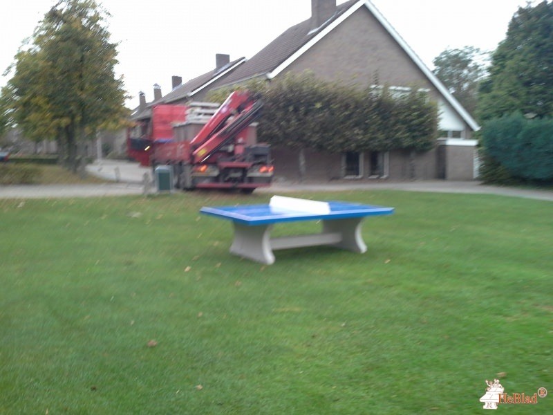 de Schouw Oisterwijk uit Oisterwijk