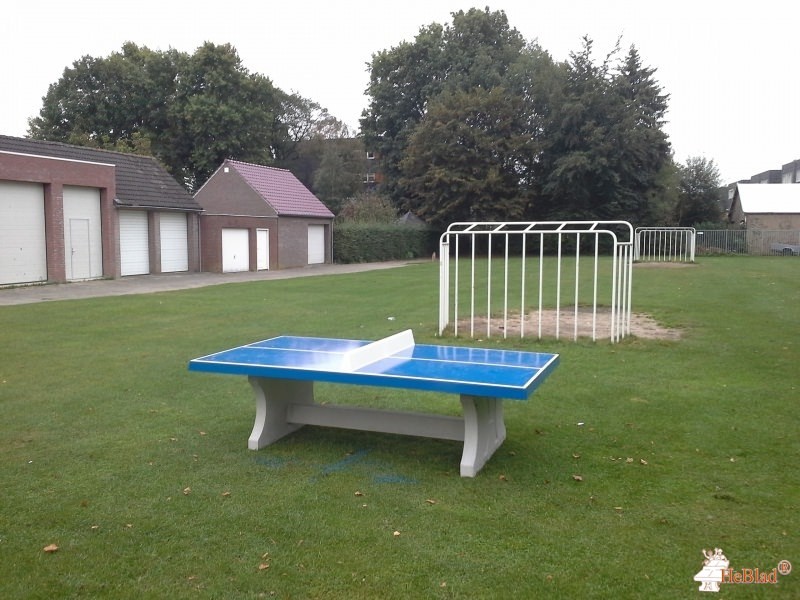 de Schouw Oisterwijk uit Oisterwijk