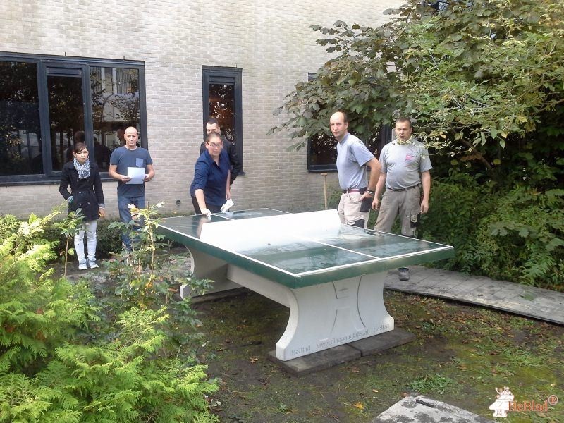 Bever Zwerfsport B.V. uit Pijnacker