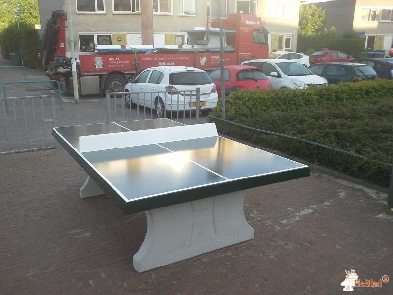 Riet Blom-Mouritsstraat uit Rotterdam