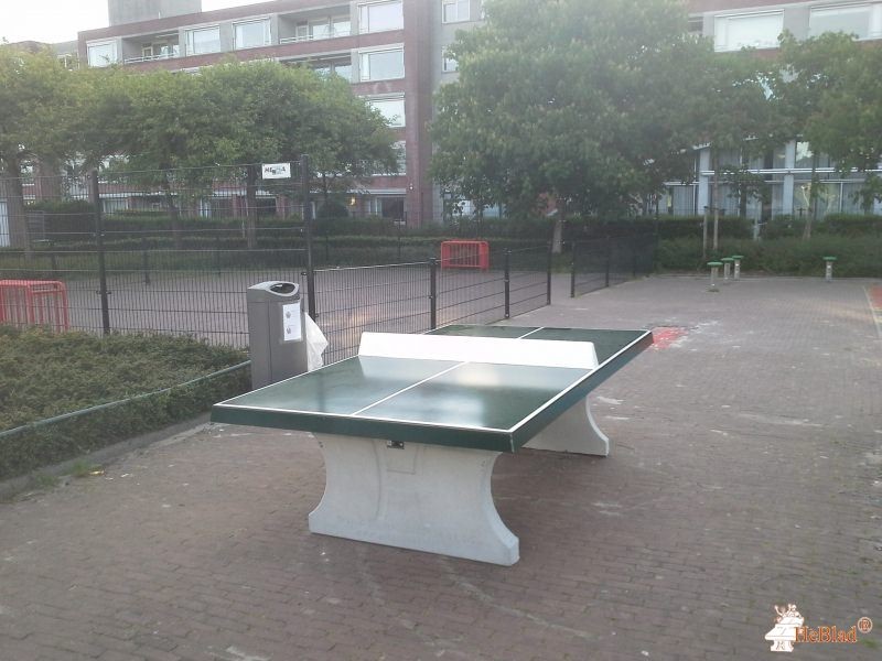 Riet Blom-Mouritsstraat uit Rotterdam
