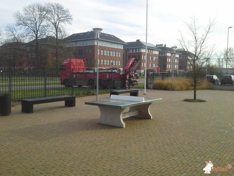 Cambium College De Waard uit Zaltbommel