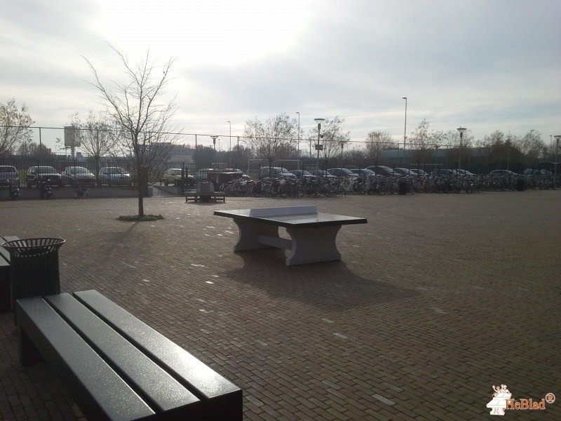 Cambium College De Waard uit Zaltbommel