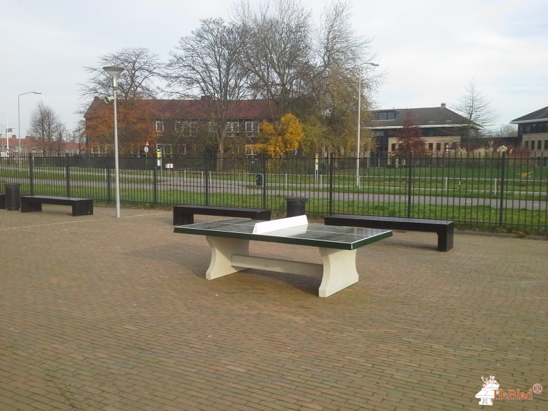 Cambium College De Waard uit Zaltbommel
