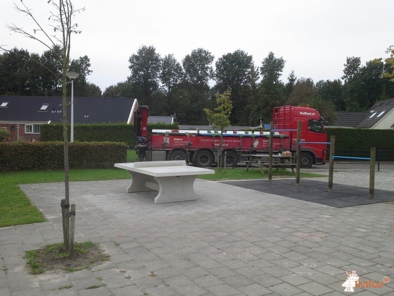 CBS Het Baken uit Westerlee gn