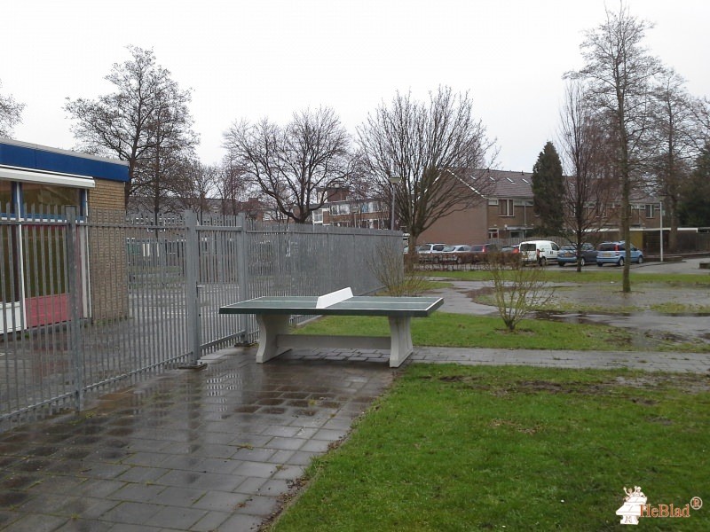 Obs de Phoenix uit Rozenburg