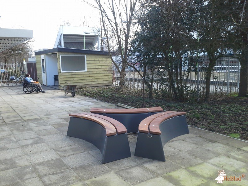 Bs De nieuwe Schalm uit Rotterdam