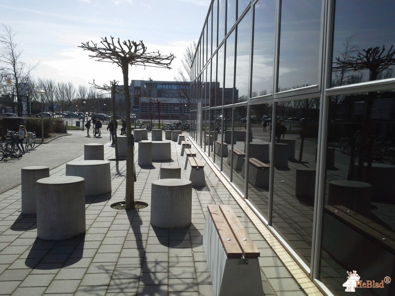 Northgo College uit Noordwijk