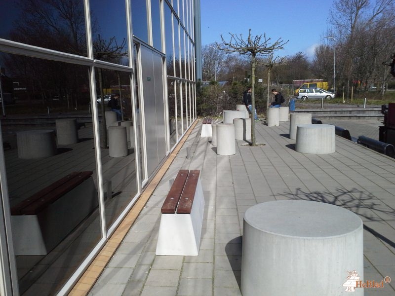 Northgo College uit Noordwijk