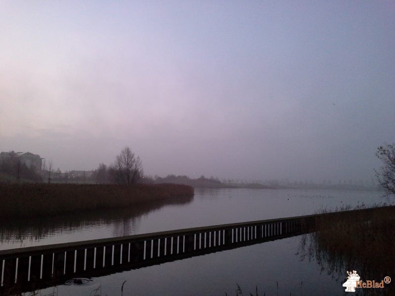 Haarlemmermeerse Bos uit Hoofddorp